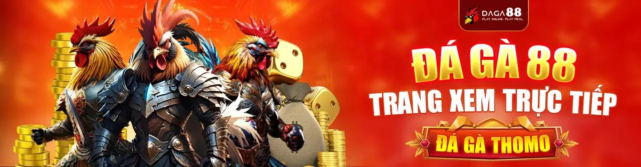 Đá Gà Trực Tuyến kịch tính tại OXBET trang chủ chính thức